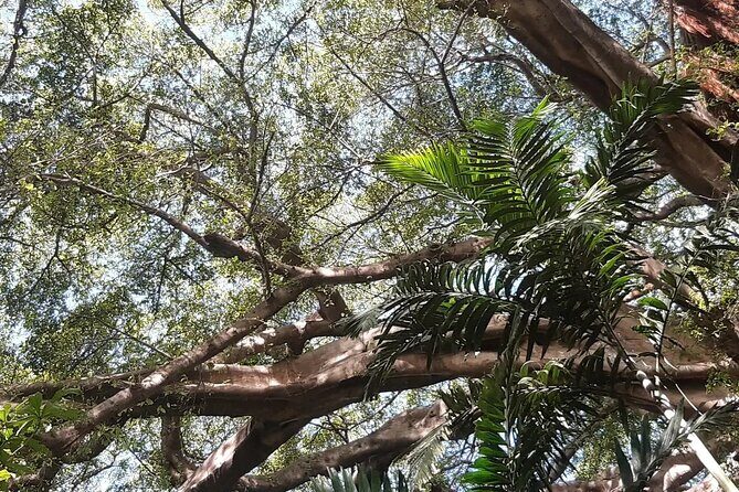 Full-Day Private Tour to Yakel Village, Waterfall and Mt Yasur Volcano - Lapilmai Waterfall: Refreshing Nature’s Power  