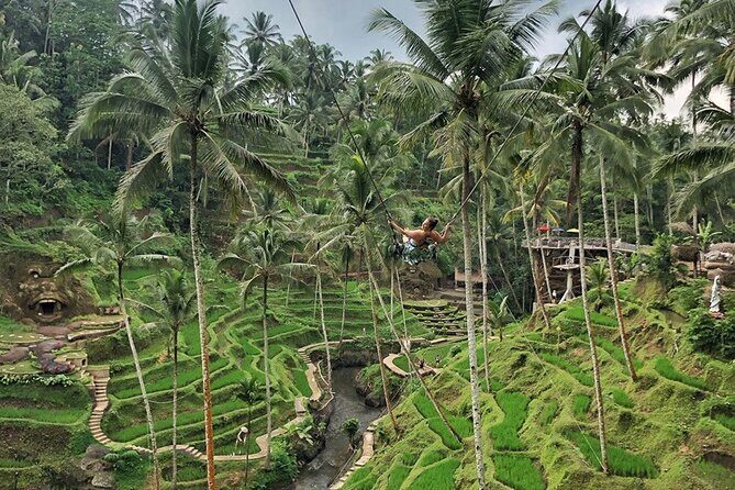 Full Day Private Ubud Tour - All Inclusive - Who Is This Tour Best For?
