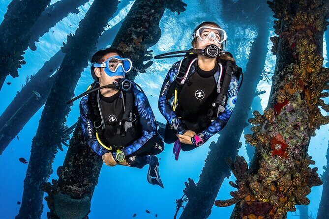 Full Day Racha Yai Scuba Diving from Phuket - What to Expect from the Tour