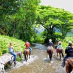 Full-Day Safari Outdoor Adventure in Punta Cana - Experience Overview