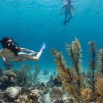 Full Day Sail and Snorkel with Turtles - How the Day Unfolds: A Breakdown of the Itinerary