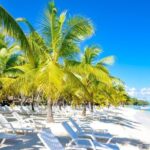 Full-Day Saona Island Escape  Beaches, Adventure, Paradise Vibes - The Itinerary in Detail