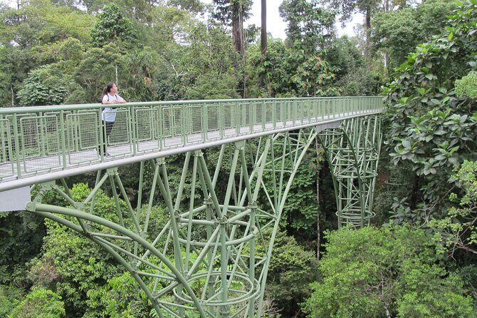 Full Day Sepilok Orangutan and Rainforest Discovery Centre Tour - Practicalities and Logistics