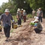 Full Day Siem Reap Farm Tour with Cooking Class and Monk Blessing - Insights from Reviewers