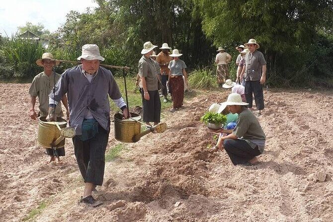 Full Day Siem Reap Farm Tour with Cooking Class and Monk Blessing - Insights from Reviewers