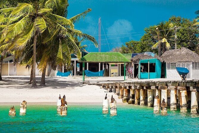 Full-Day Snorkeling Adventure at Catalina Island from Punta Cana - What Makes This Tour Stand Out?