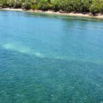 Full-Day Snorkeling Gear Rental in Puerto Rico - Exploring Cabezas de San Juan’s Underwater World