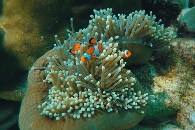 Full Day Snorkeling Tour to KohRok and KohHaa from KohLanta - Second Stop: Koh Haa Lagoon