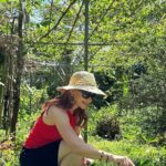 Full Day Starfish Beach and Northern Phu Quoc Private Excursion - Who is This Tour Best For?