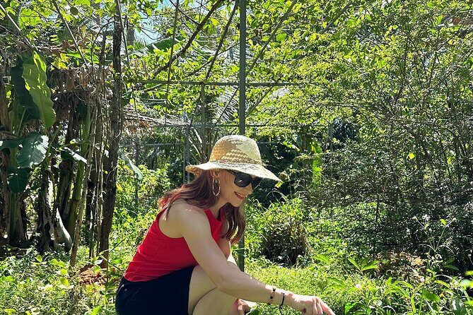 Full Day Starfish Beach and Northern Phu Quoc Private Excursion - Who is This Tour Best For?