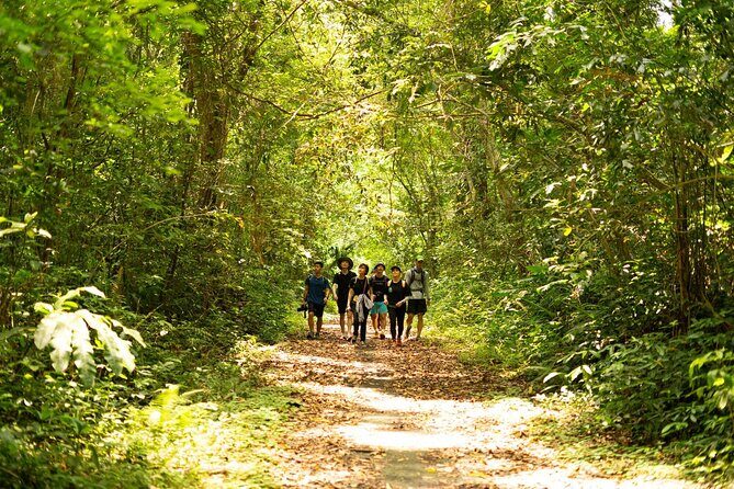 Full Day Trekking Cat Ba National Park, Viet Hai Village, biking - Practical Tips for Participants