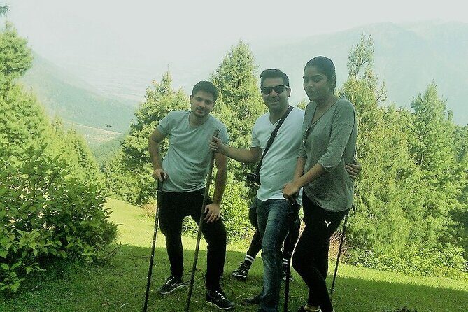 Full-day Trekking Tour to Mohanmarg Meadow - What the Reviews Reveal About the Experience