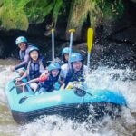 Full day Ubud tour Rafting and Rice Terrace with Monkey Forest - Whats Included and Whats Not