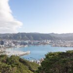 Full Day Wellington Tour - Including maoritanga - Practical Details and Value