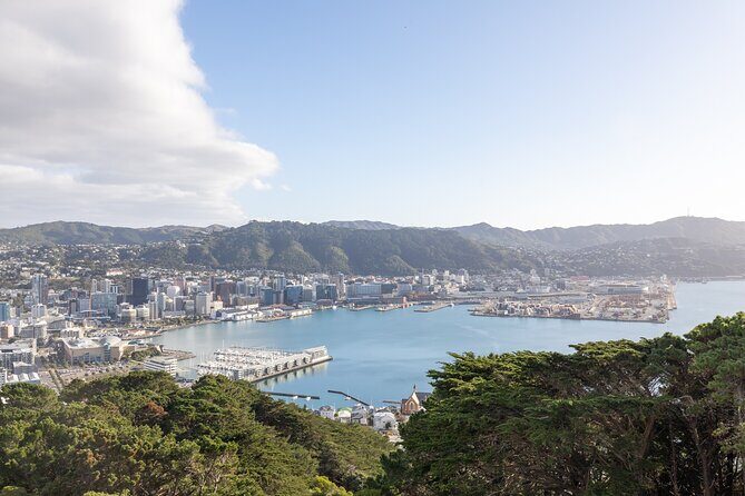 Full Day Wellington Tour - Including maoritanga - Practical Details and Value