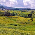 Full Day Wonders of Bali Group Tour with Pickup and Lunch - Authentic Experiences and Real-Life Insights