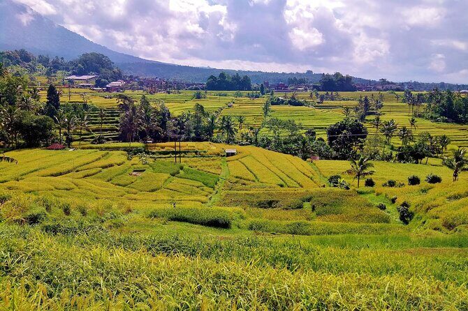 Full Day Wonders of Bali Group Tour with Pickup and Lunch - Authentic Experiences and Real-Life Insights