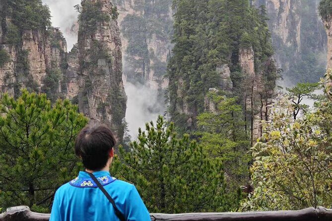 Full VIP Zhangjiajie National Forest Park Day Tour - In-Depth Look at the Itinerary