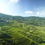 Fully-Guided Private Day Tour of Longji Terraces From Guilin - Why We Love This Tour