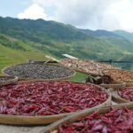 Fully-Guided Private Day Tour of Longji Terraces From Guilin - Practical Tips for Travelers