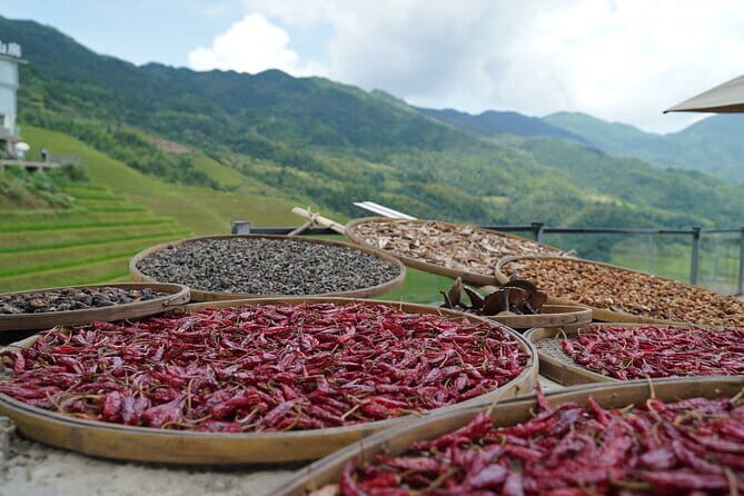 Fully-Guided Private Day Tour of Longji Terraces From Guilin - Practical Tips for Travelers