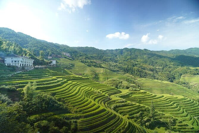 Fully-Guided Private Day Tour of Longji Terraces From Guilin - Why We Love This Tour