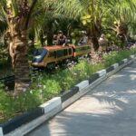 Fun coconut farm + Railway market + Floating market - Details That Matter: Transportation, Timing & Value