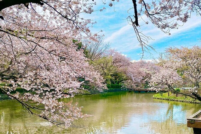 Fun Personalized Kamakura Walking Tour with a Local Guide - A Thorough Breakdown of the Kamakura Itinerary