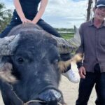 Funny day cycling, Buffalo riding and Basket boat - Why This Tour Offers Real Value