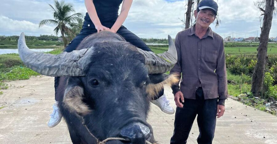 Funny day cycling, Buffalo riding and Basket boat - Why This Tour Offers Real Value