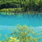 Furano and Biei Special Complete package - Frequently Asked Questions