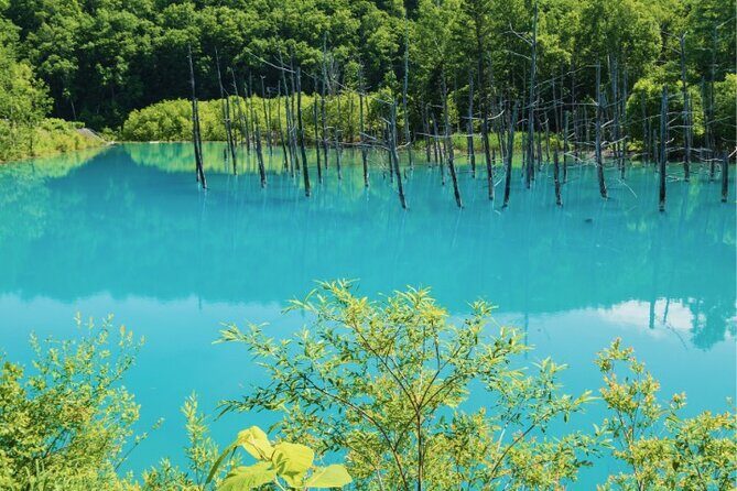 Furano and Biei Special Complete package - Frequently Asked Questions