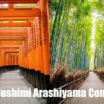 Fushimi Inari - Arashiyama: Torii Gates, Bamboo, Monkey Park - Practical Details and Value