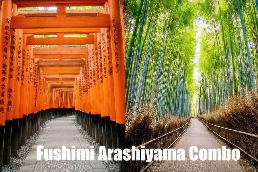 Fushimi Inari - Arashiyama: Torii Gates, Bamboo, Monkey Park - Practical Details and Value