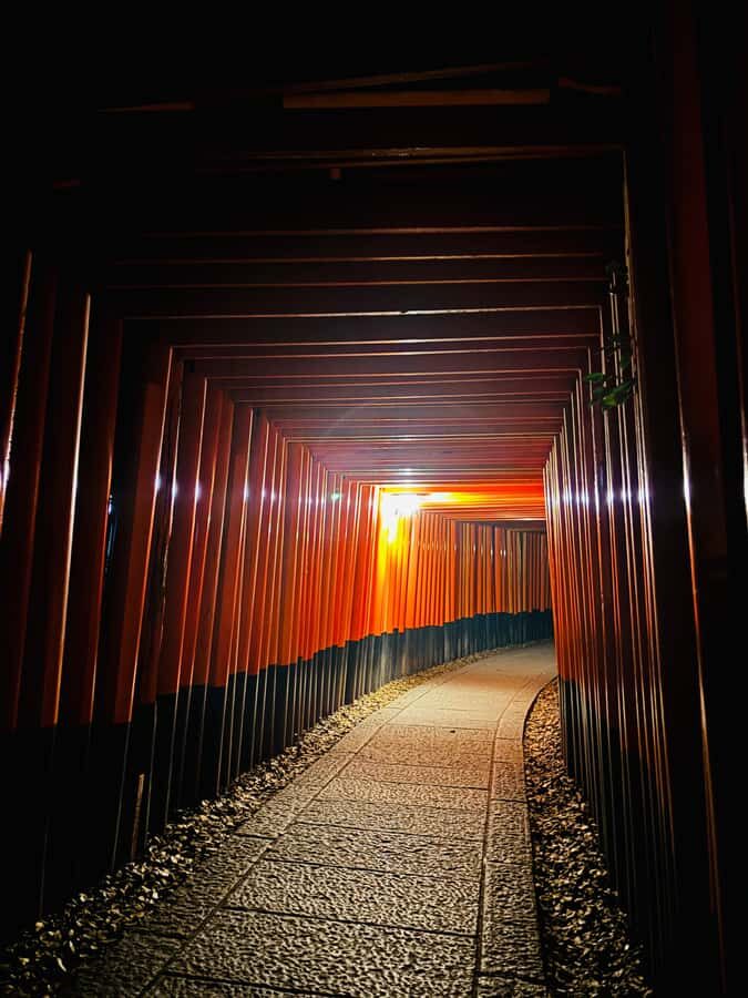 Fushimi Inari Night Hike - The Authentic Prayer Experience