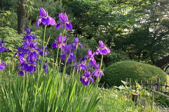 Futakotamagawa Suburban Gems Private Tour in Tokyo - The Itinerary: What You Can Expect