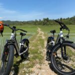 Galle: Countryside E-Bike Tour with Hotel Pickup - Detailed Overview of the Galle Countryside E-Bike Tour