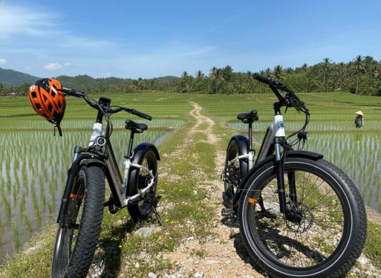 Galle: Countryside E-Bike Tour with Hotel Pickup - Detailed Overview of the Galle Countryside E-Bike Tour