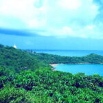 Galle Day Tour with Jungle Beach Experience from Colombo - Authentic Insights from Reviews