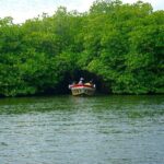 Galle Day Tour with Train Ride from Colombo or Negombo - Exploring Galle Fort: A UNESCO World Heritage Site