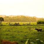 Galle: E-Bike Tour with Village Lunch and Local Guide - Why This Tour Is Worth It