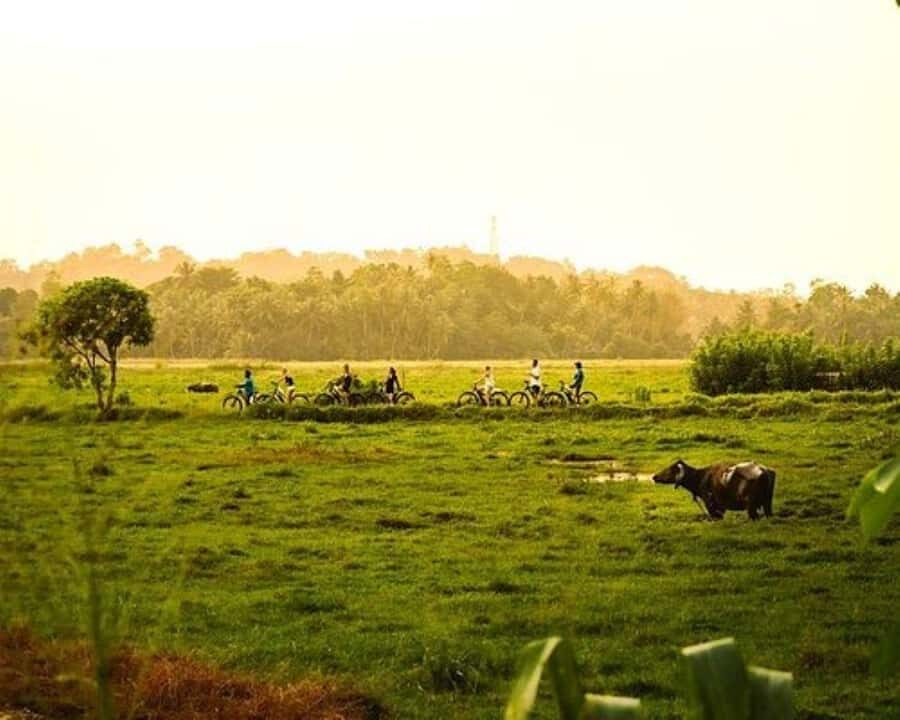 Galle: E-Bike Tour with Village Lunch and Local Guide - Why This Tour Is Worth It