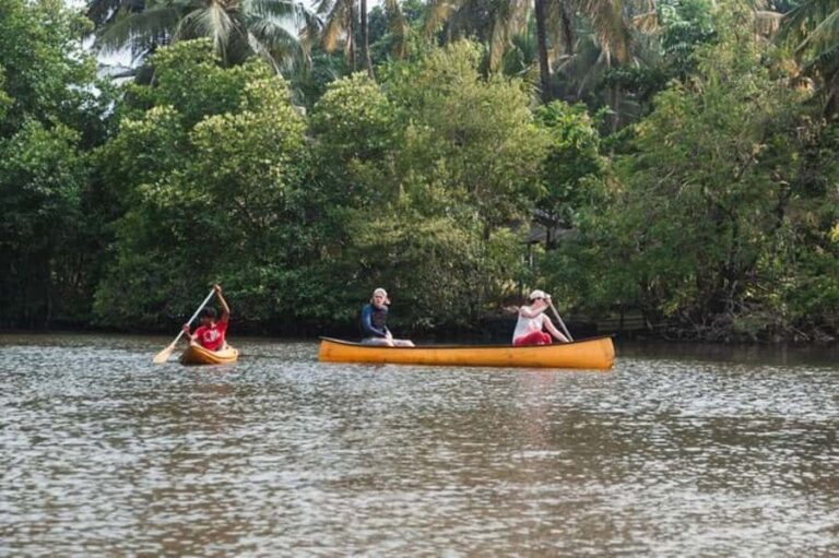 Galle: Lagoon Canoeing Tour with Hotel Pickup - In-Depth Look at the Itinerary