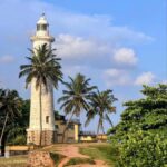 Galle Private Day Tour - River Safari, Turtle Hatchery - Exploring the Itinerary in Detail