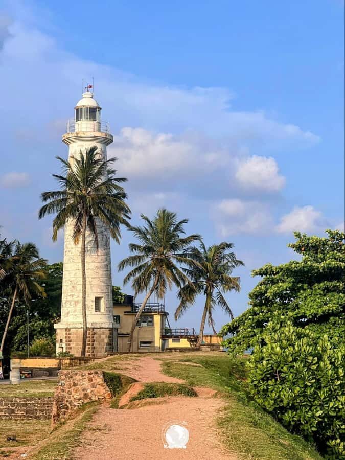 Galle Private Day Tour - River Safari, Turtle Hatchery - Exploring the Itinerary in Detail