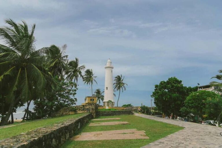 Galle Private Day Tours with Sea Turtles visit & Boat Safari - What You Can Expect in Terms of Value and Experience