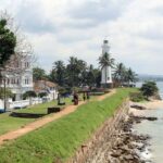 Galle with Turtle Hatchery & Mangrove Safari All Inclusive - A Complete Breakdown of the Experience