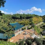 Gangneung Sightseeing Day Tour - Authentic Experiences from Other Travelers