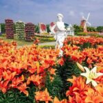 Gaomei Wetland Day Trip from Ximending - Final Thoughts