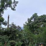 Garden & Botanical Sightseeing of Kathmandu Valley - What to Expect and Practical Tips